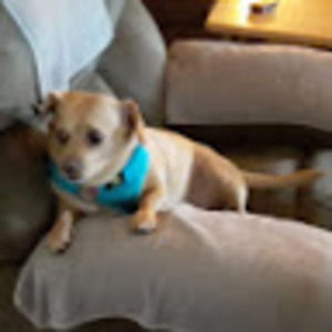 Meet your Posher, Sharon